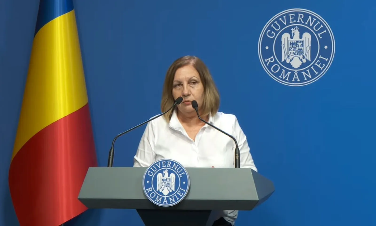 elena mateescu anm elena mateescu anm