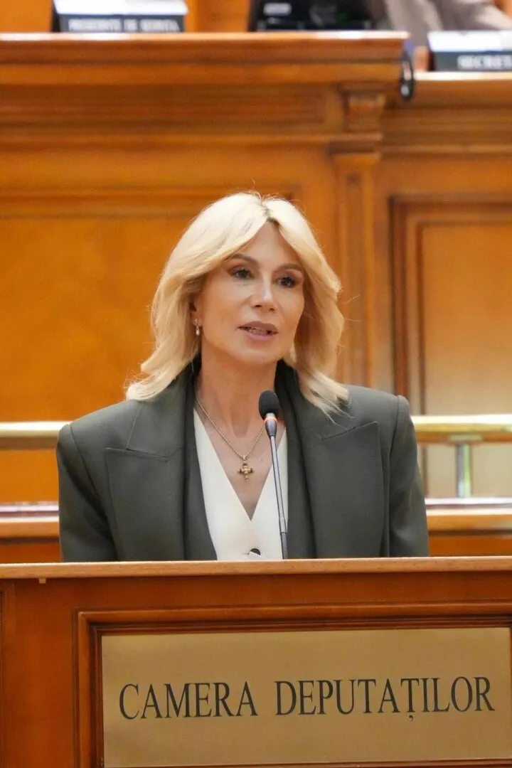 raluca turcan tichetele casnice raluca turcan tichetele casnice