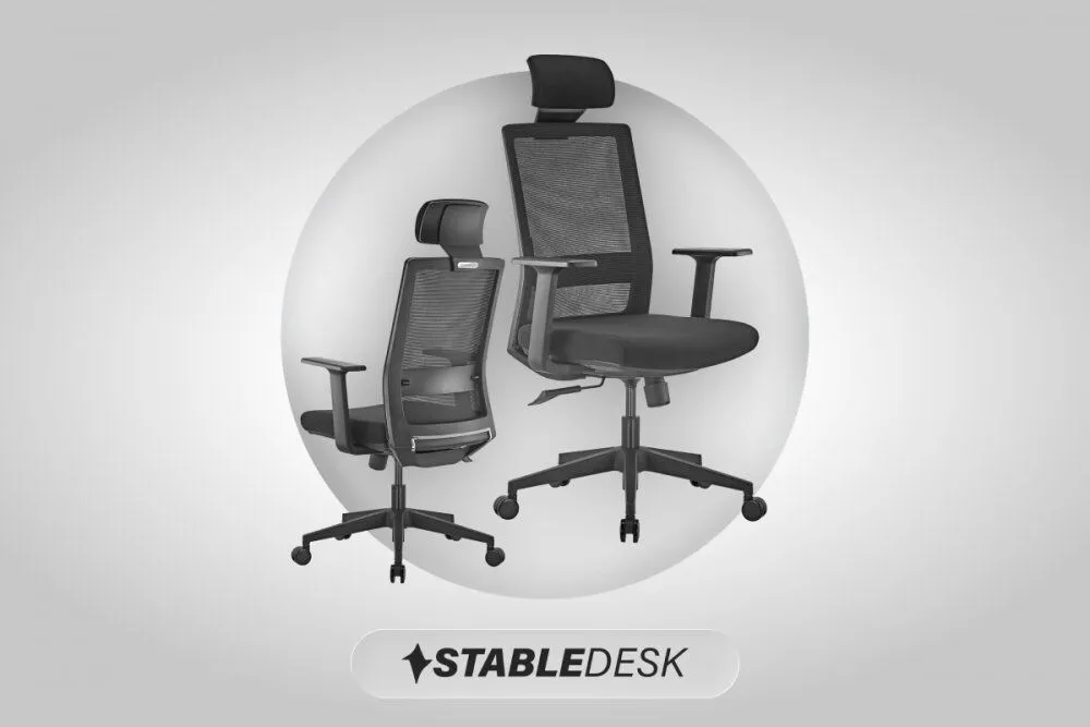 Poza pentru articolul [P]Cum aleg marile companii un scaun de birou StableDesk pentru spațiile office moderne și de ce