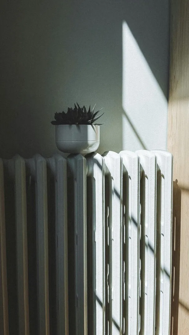 căldura (2) căldura (2)