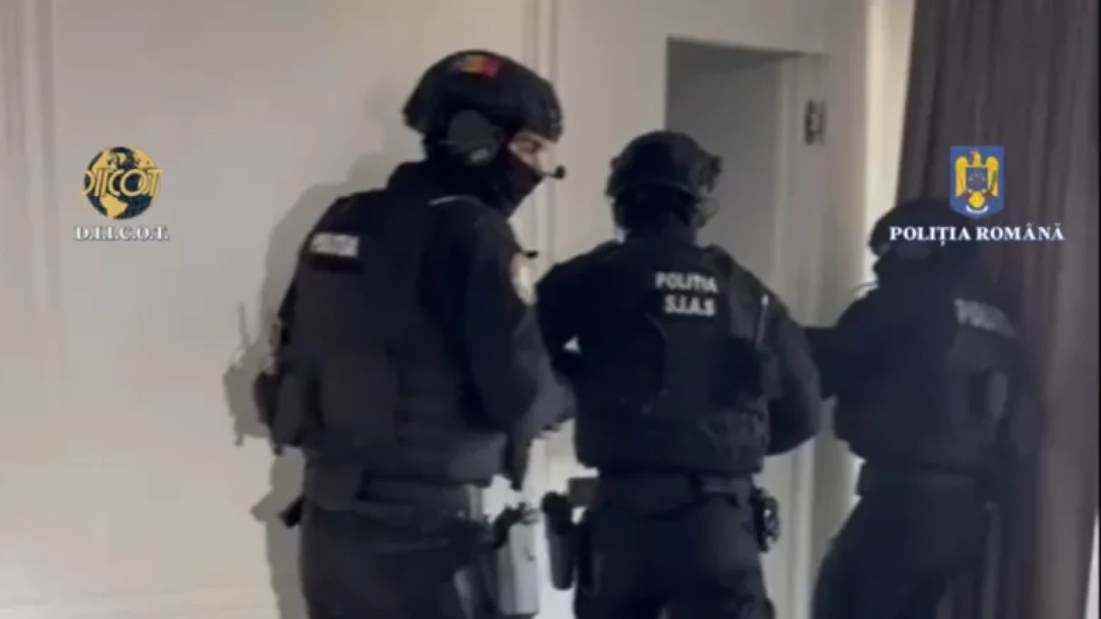 DIICOT percheziții în București și mai multe județe: 1,7 tone de droguri confiscate, 7 reținuți într-o rețea cu narco-traficanți albanezi