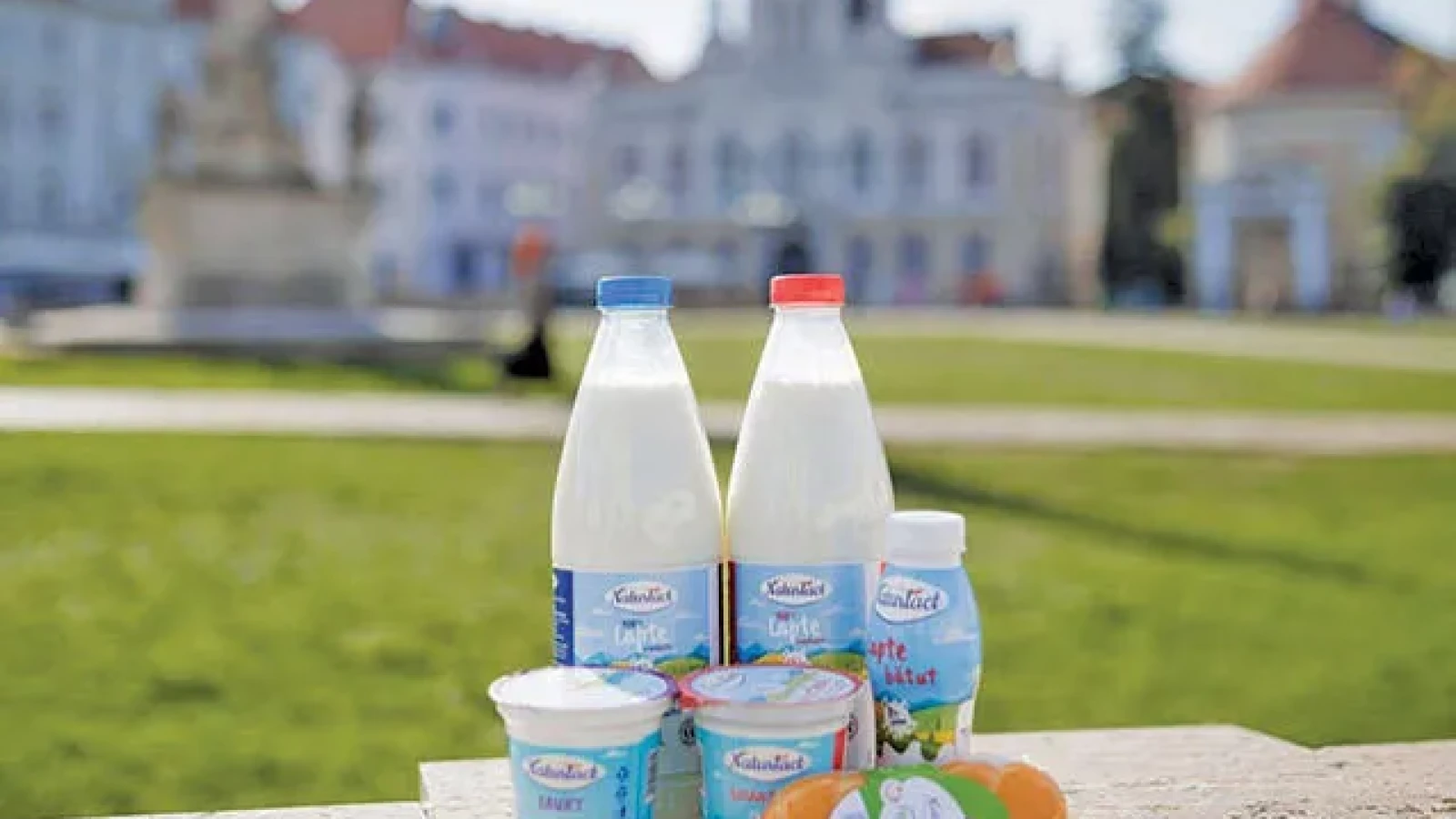 Brandul românesc pe care spaniolii îl adoră, dar pe care noi nu-l avem în magazine. Marile supermarketuri îl refuză