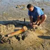 Article Thumbnail
