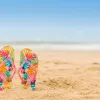 Article Thumbnail