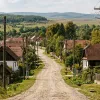 Article Thumbnail